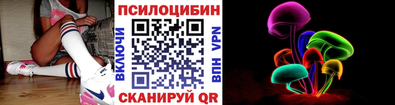 дарнет шоп  Новосибирск  Псилоцибиновые грибы Psilocybe 