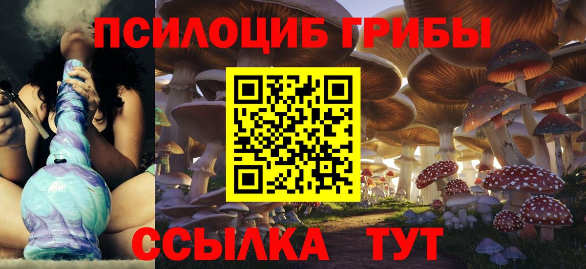 Галлюциногенные грибы мицелий  наркошоп  Новосибирск  Вход с VPN  Галлюциногенные грибы MAGIC MUSHROOMS 