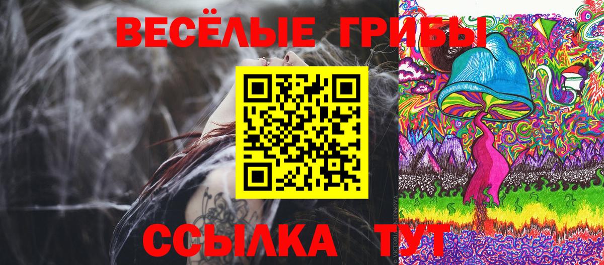 Псилоцибиновые грибы Psilocybine cubensis Новосибирск