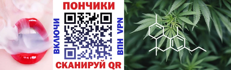 Канабис сатива Новосибирск